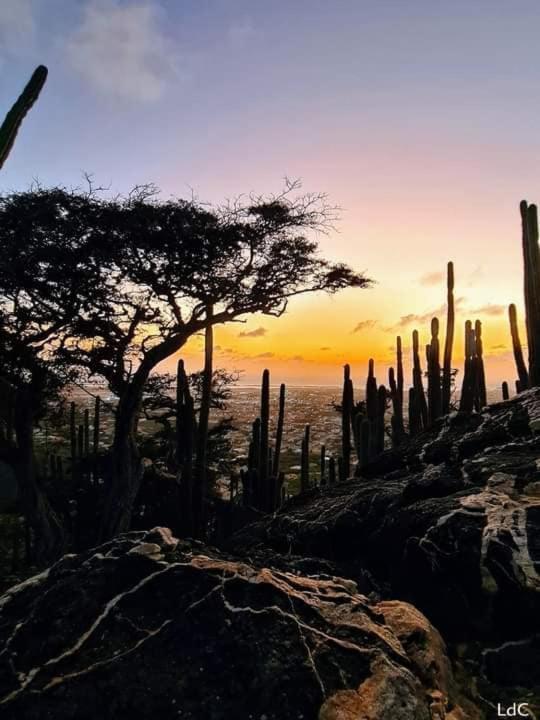 Appartamento Aruba Backpackers Oranjestad Esterno foto