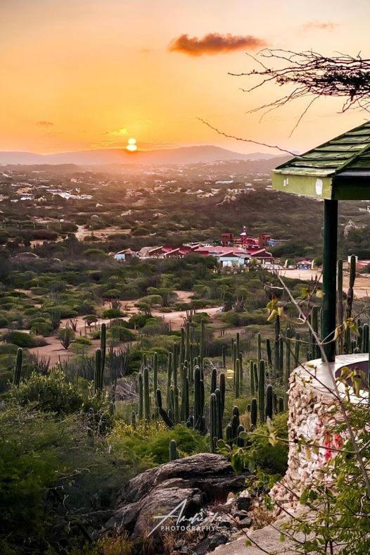 Appartamento Aruba Backpackers Oranjestad Esterno foto