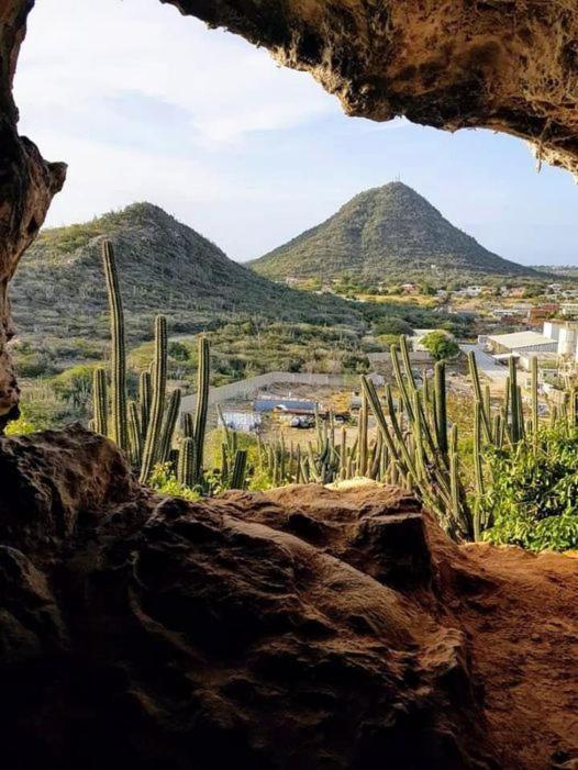 Appartamento Aruba Backpackers Oranjestad Esterno foto