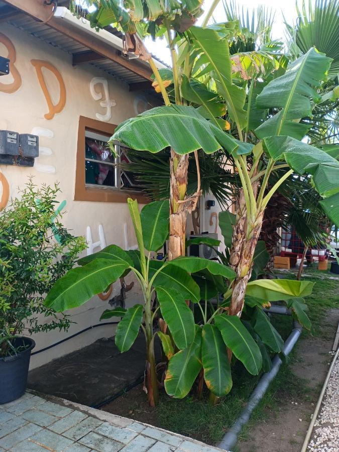 Appartamento Aruba Backpackers Oranjestad Esterno foto