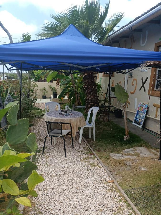 Appartamento Aruba Backpackers Oranjestad Esterno foto