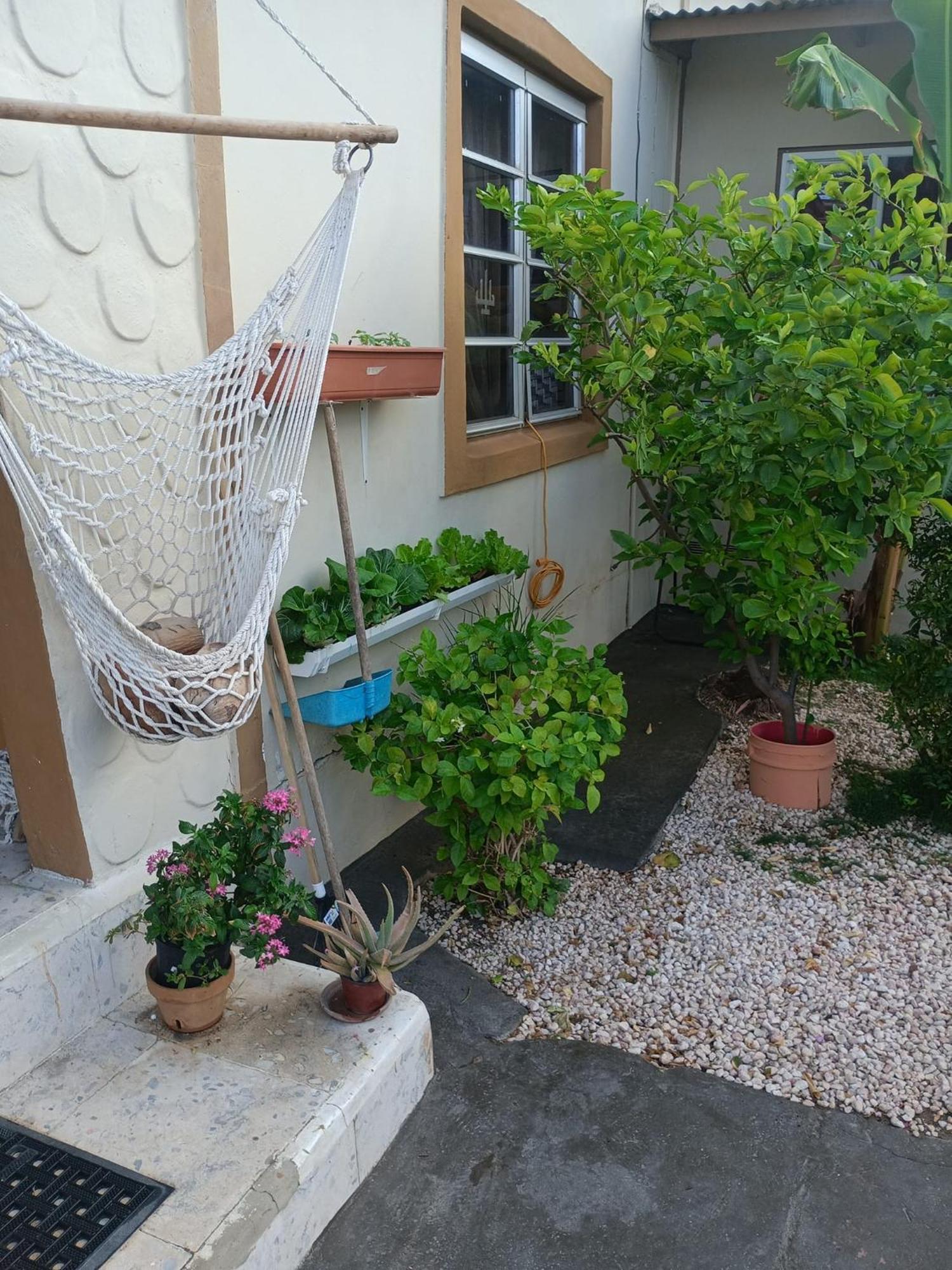 Appartamento Aruba Backpackers Oranjestad Esterno foto