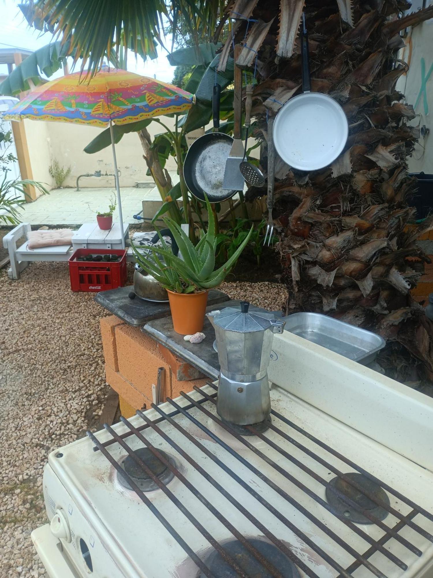 Appartamento Aruba Backpackers Oranjestad Esterno foto